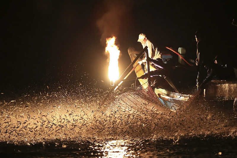 Огненная рыбалка на Тайване – умирающая традиция, которая вскоре исчезнет