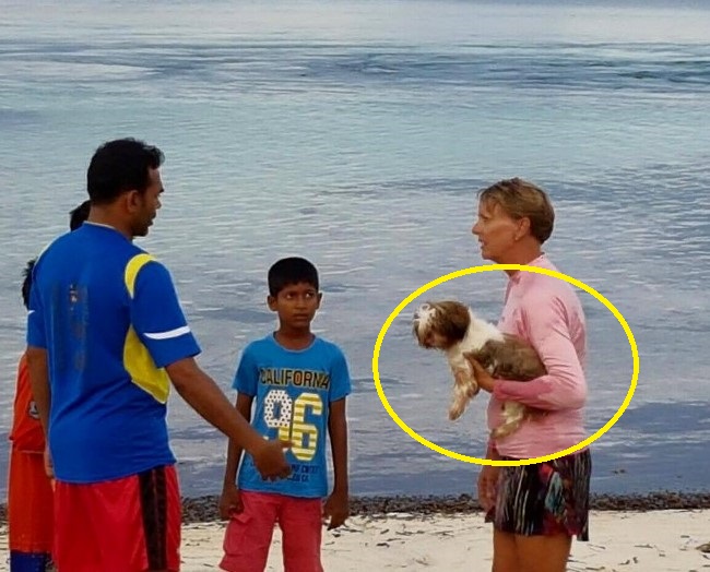 А вы знали что на Мальдивах запрещены собаки? | Почему на Мальдивах нет собак