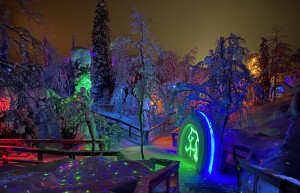 Арт-парк «Таинственный лес» в Кировске — где находится, фото, как добраться