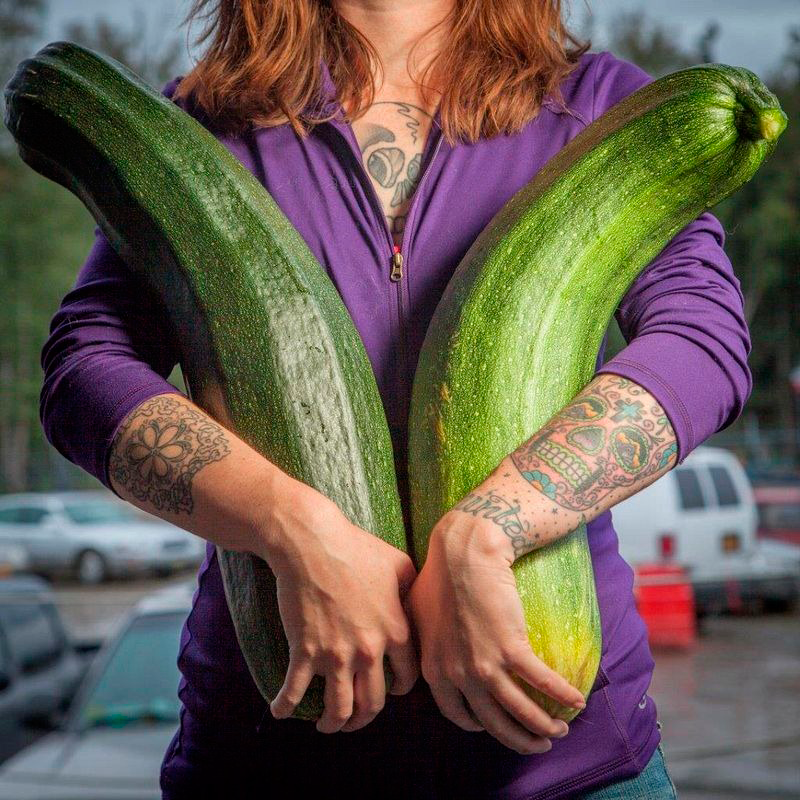 Гигантские овощи Аляски