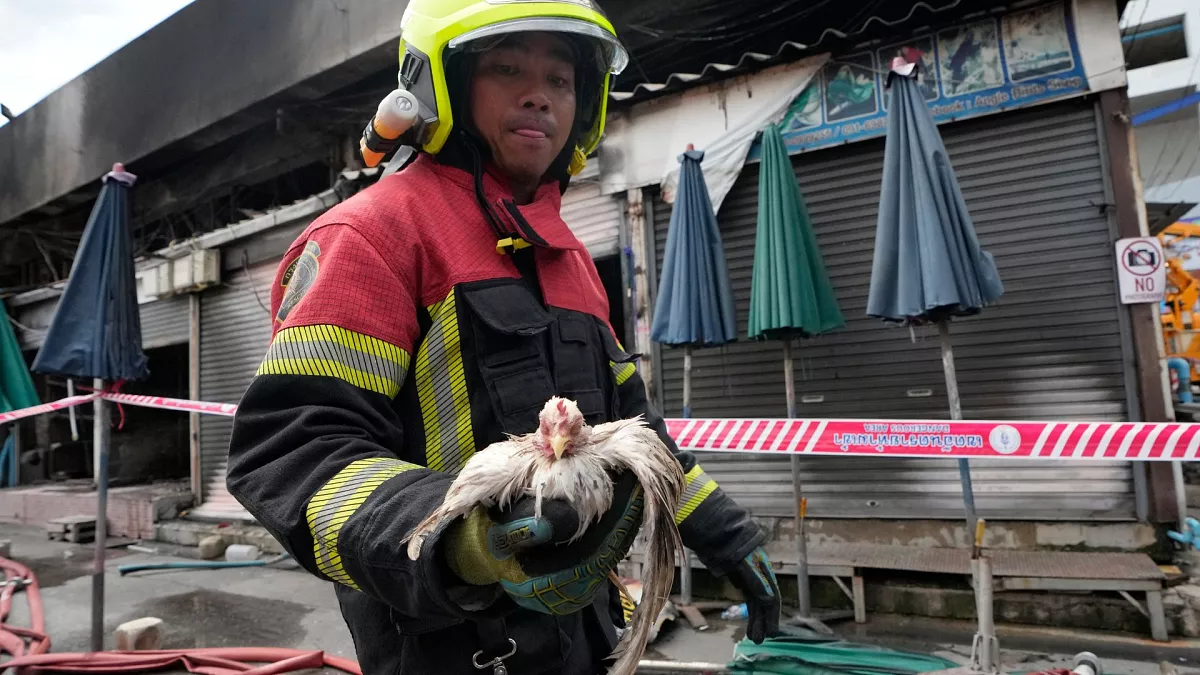 В Бангкоке сгорел один из крупнейших рынков животных Азии