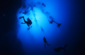 Большая голубая дыра в Белизе — где находится, фото, как добраться