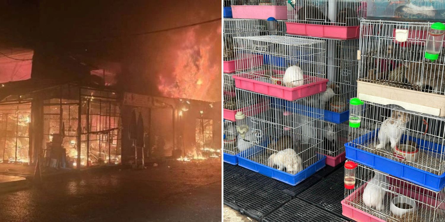 В Бангкоке сгорел один из крупнейших рынков животных Азии